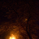 DSC_0908 _2_.jpg
