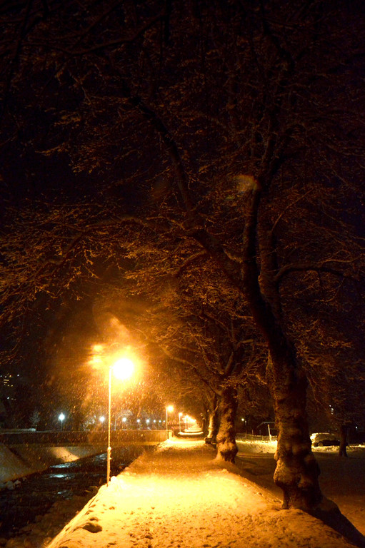 DSC_0908 _2_.jpg