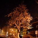 DSC_0910.jpg