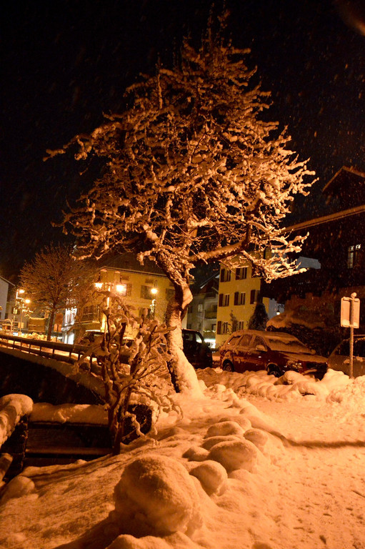 DSC_0910.jpg