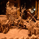 DSC_0913 _2_.jpg