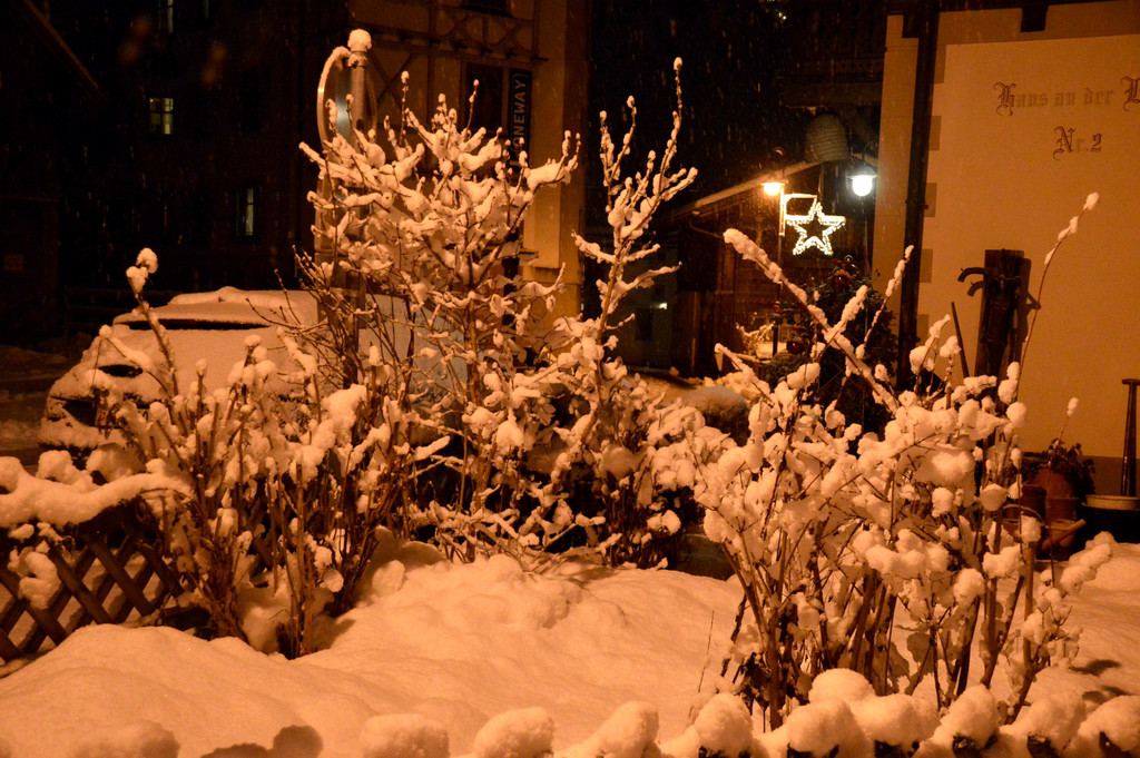 DSC_0913 _2_.jpg