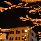 DSC_0917 _2_.jpg