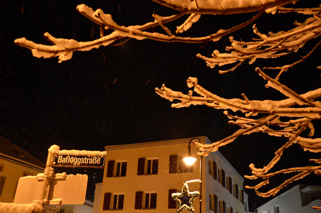 DSC_0917 _2_.jpg
