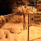 DSC_0921 _1_.jpg