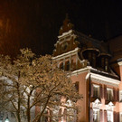 DSC_0931 _1_.jpg