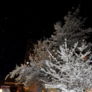 DSC_0946 _3_.jpg