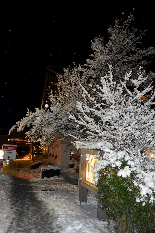 DSC_0946 _3_.jpg