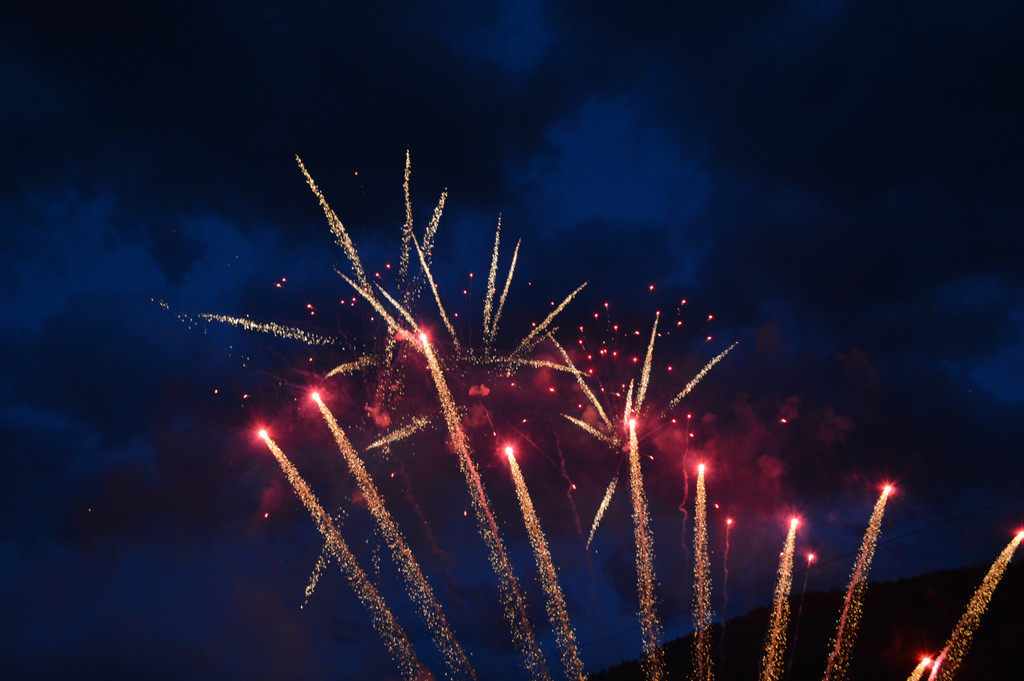 DSC_0953 _1_.jpg