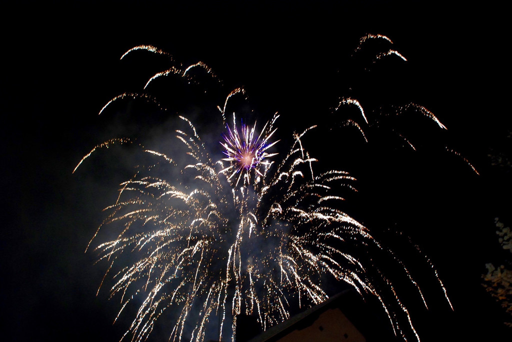DSC_0077 _2_.jpg