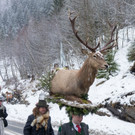 20180101_fmt_Perchtenumzug_pp40.jpg