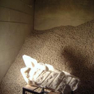 810845.jpg
