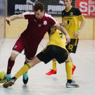 20180102_FMT_Salzburger_Stier_KJ_020.JPG