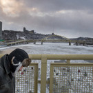 Unwetter an US-Ostküste