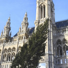 Christbaum vor dem Wiener Rathaus gefällt