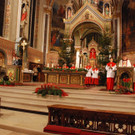 DSC_0241 _3_.jpg