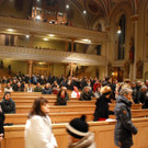 DSC_0268 _4_.jpg