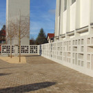 DSC05586.JPG