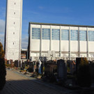 DSC05590.JPG