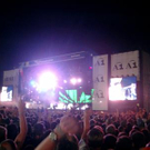 814851.jpg