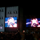 814852.jpg