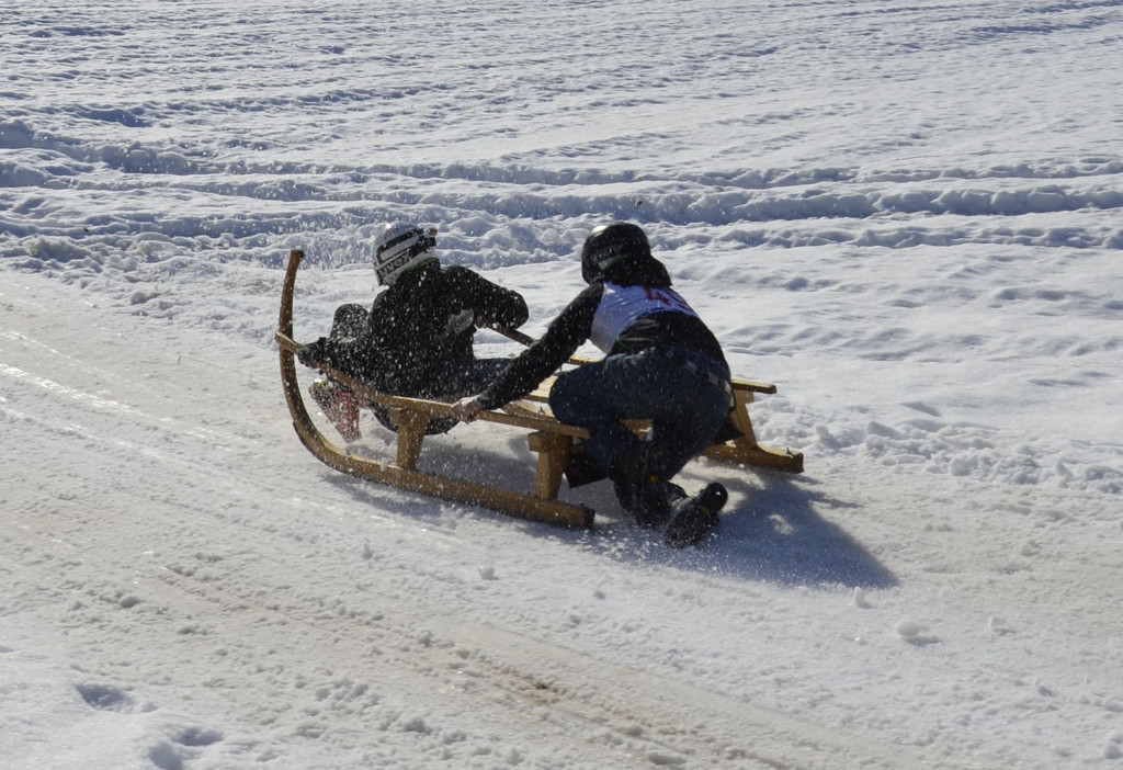 _DSC1177_1_.jpg