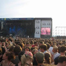 815143.jpg