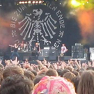 815145.jpg