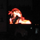815130.jpg