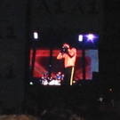 815131.jpg