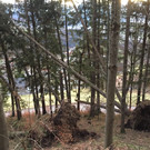 IMG_1783.JPG