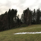 IMG_1790.JPG