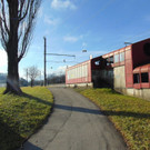 DSC05574.JPG