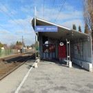DSC05577.JPG