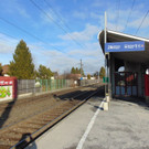 DSC05578.JPG