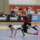 Stier-Finale