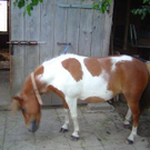 819603.jpg