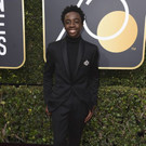 75th_Annual_Golden_Globe_Awards_-_Arrivals_10087.jpg