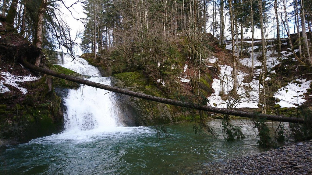 DSC_0043 _6_.jpg