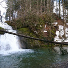 DSC_0043 _6_.jpg
