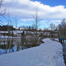 DSC_0045 _6_.jpg