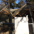 Wildpark Feldkirch - Sturmschäden und Reparaturen
