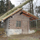IMG_8530.JPG