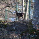 IMG_8535.JPG