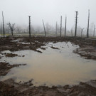 California_Storms_55236.jpg