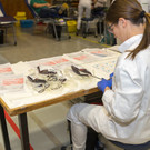 20180108_Blutspende_009.jpg