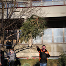 IMG_9991.JPG