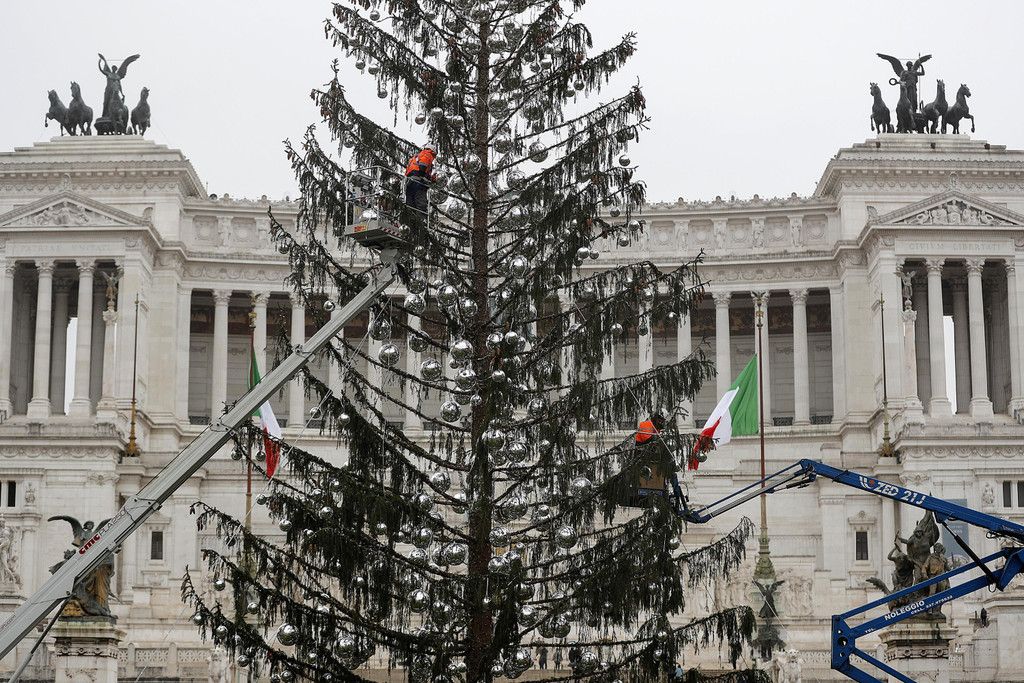 Italy_Christmas_Tree_31249.jpg