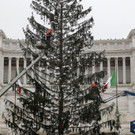 Italy_Christmas_Tree_31249.jpg