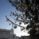 Italy_Christmas_Tree_Needling_41782.jpg